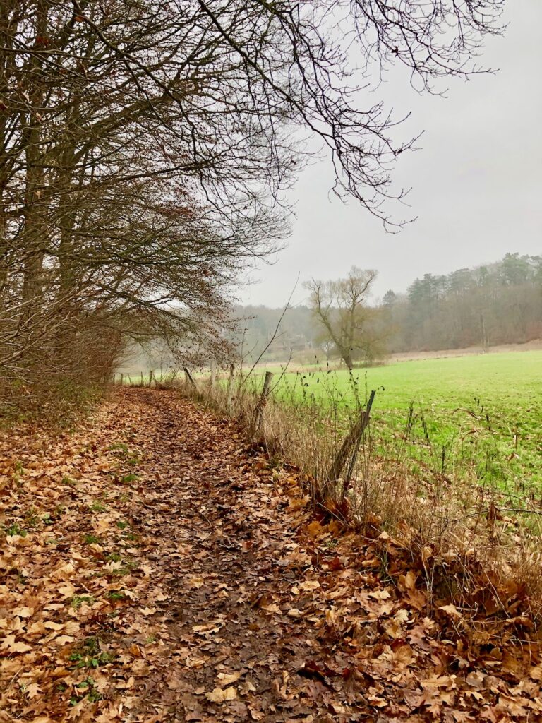 Wandern Schleswig-Holstein