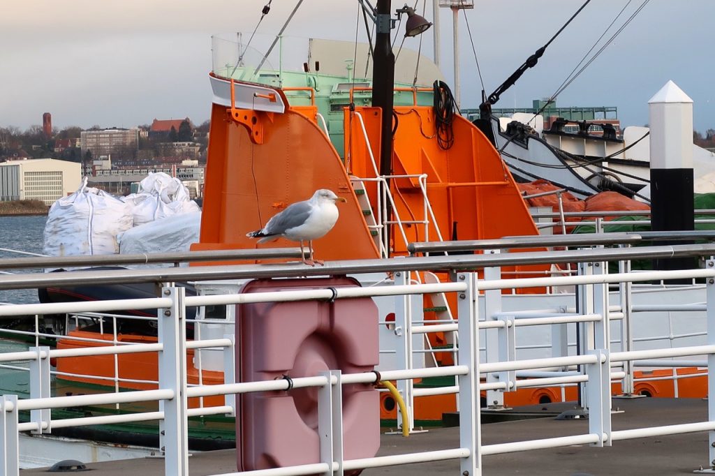 Kiel Hafen