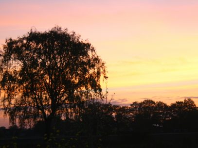 Natur pur - Sonnenuntergang