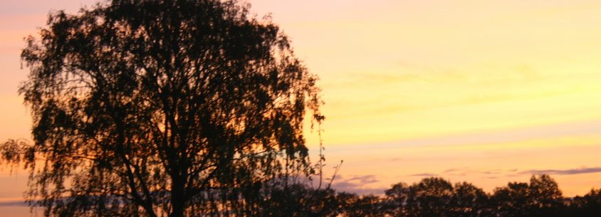 Natur pur - Sonnenuntergang