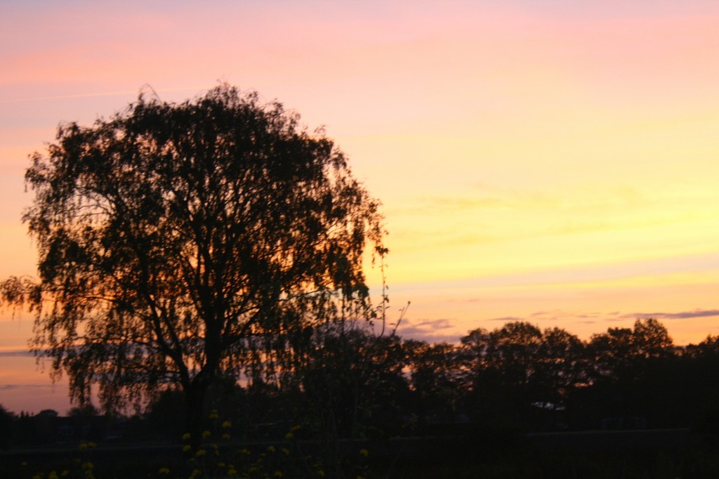 Natur pur - Sonnenuntergang