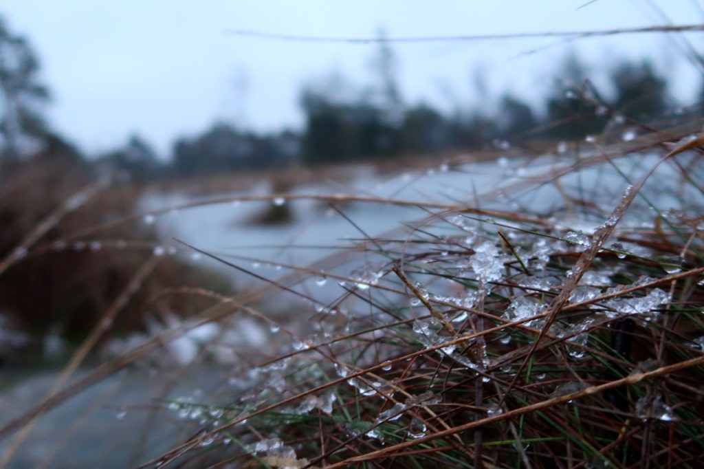 Tister Bauernmoor Wanderung im Winter