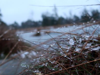 Tister Bauernmoor Wanderung im Winter