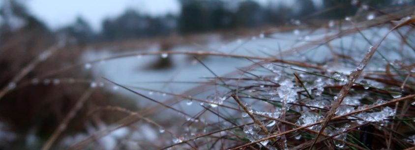 Tister Bauernmoor Wanderung im Winter