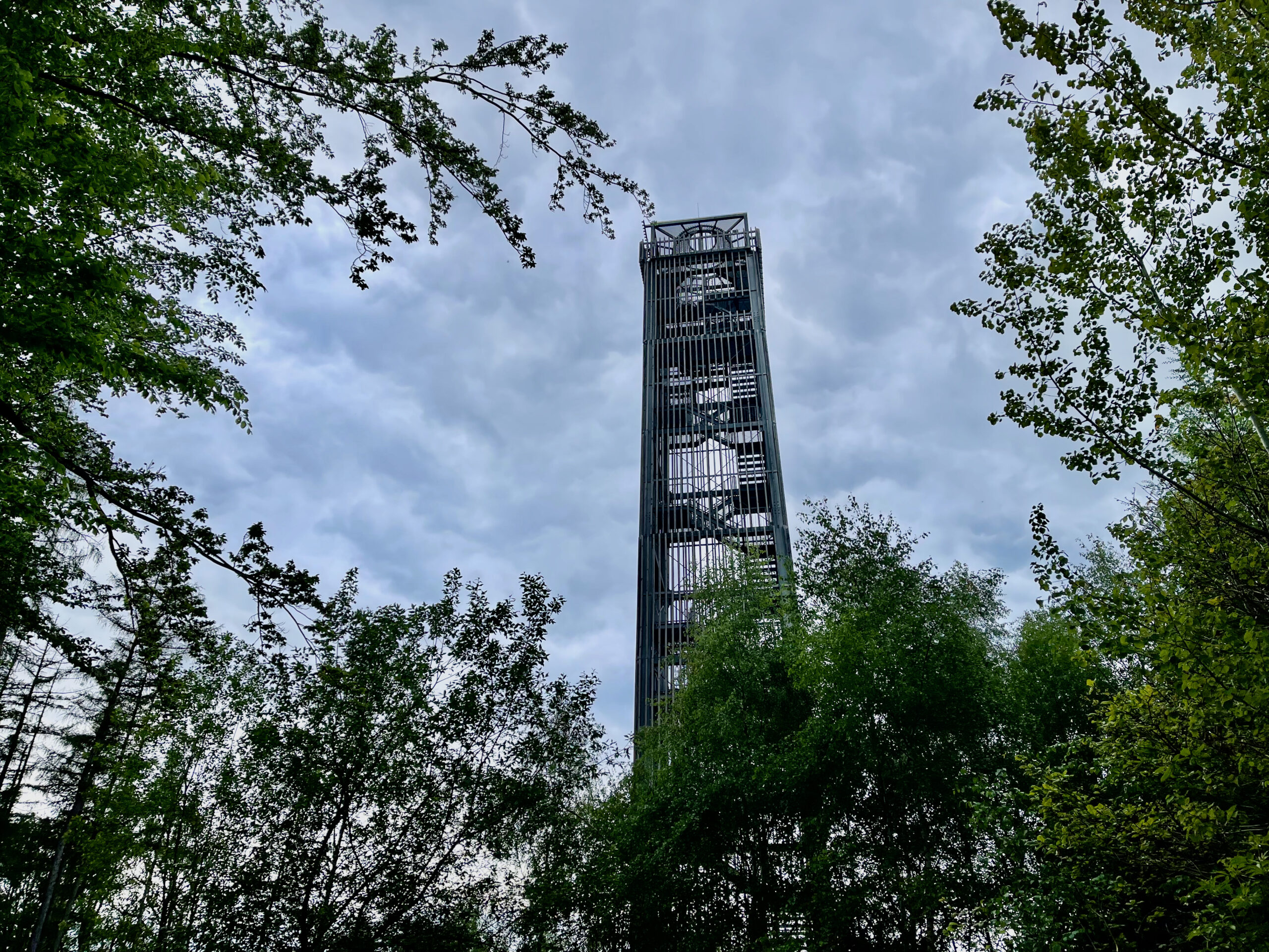 der Moehneseeturm ragt im Wald empor