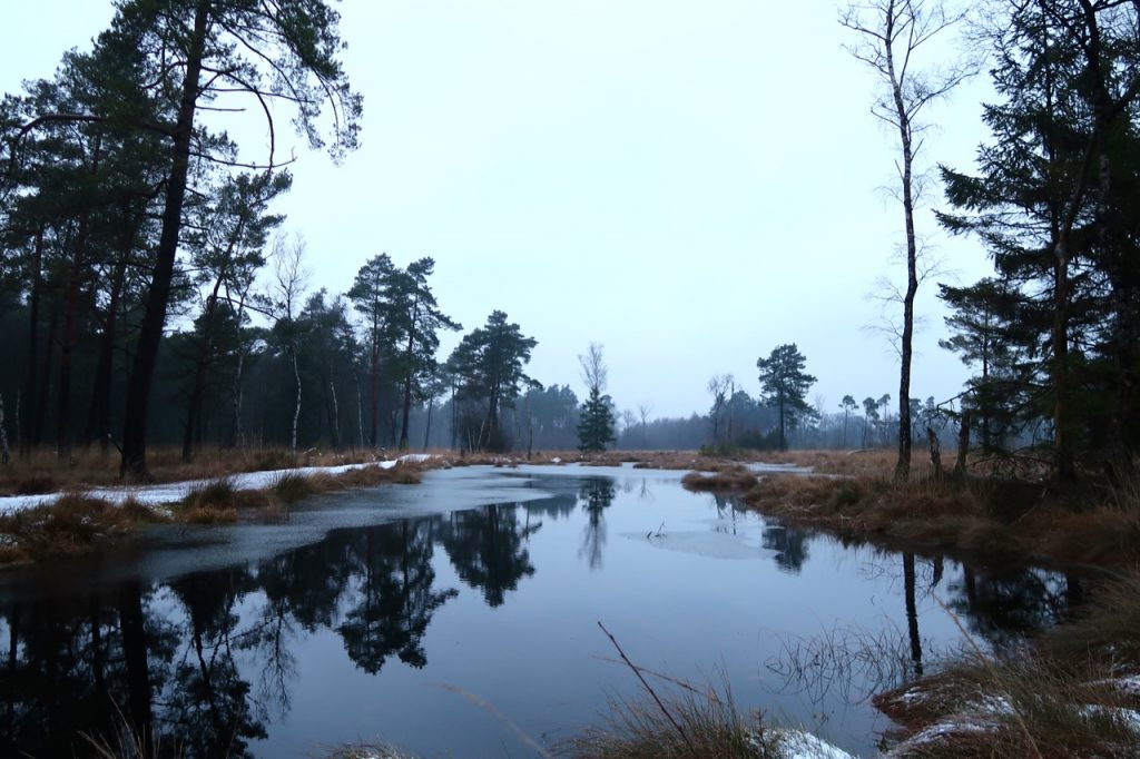 Tister Bauernmoor Sittensen