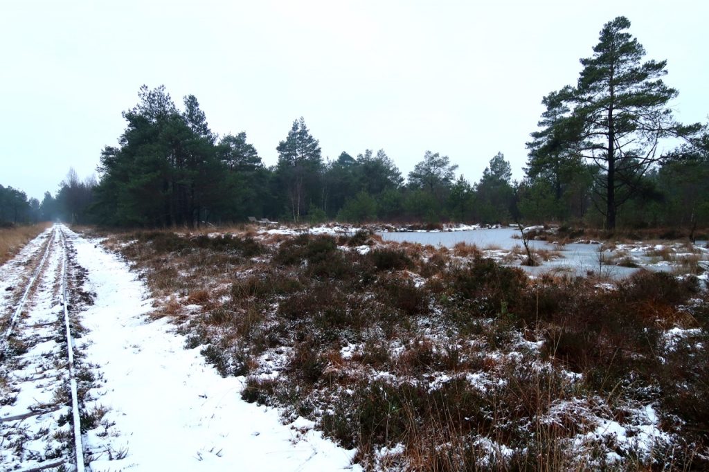 Tister Bauernmoor im Winter