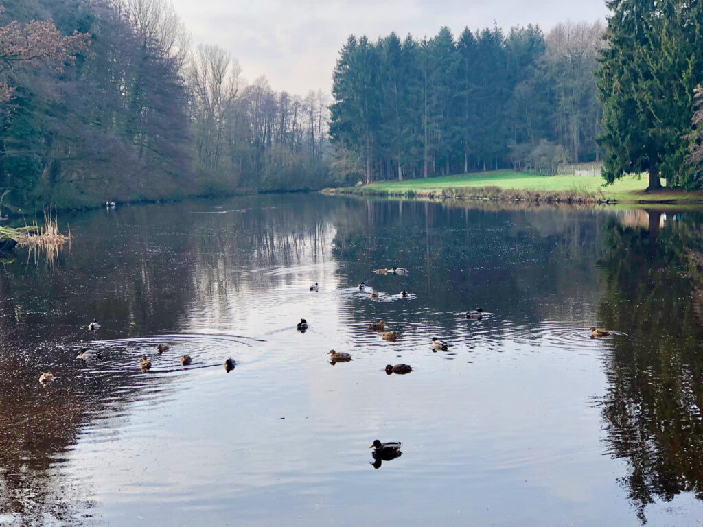 Nordpfade Wanderwege Zeven