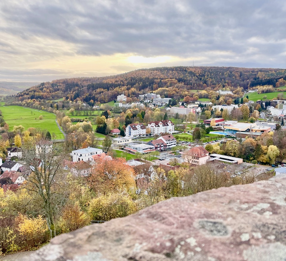 Kurote in Hessen Bad Soden Salmuenster