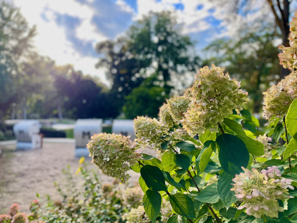 Bloggertreffen Sauerland Bad Sassendorf Kurpark