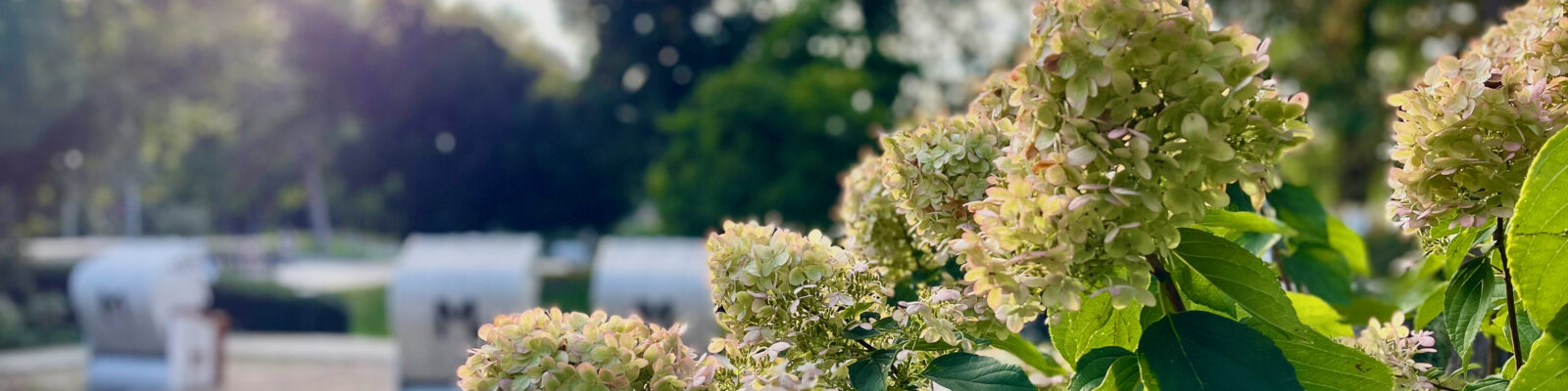 Bloggertreffen im Sauerland - Alle guten Dinge sind 3: Möhnesee  Bad Sassendorf  Soest