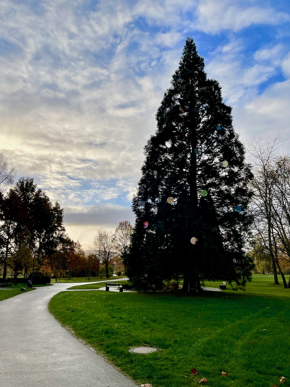 Kinderweihnachtsbaum Bad Soden Salmuenster Kurpark