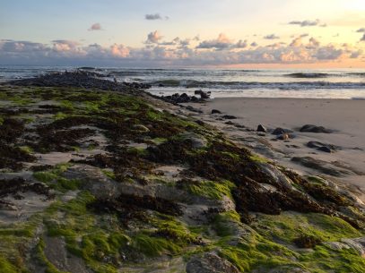 Wangerooge Urlaub - Natur, Wellness, Aktiv