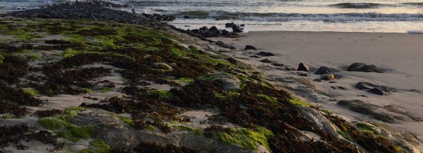 Wangerooge Urlaub - Natur, Wellness, Aktiv