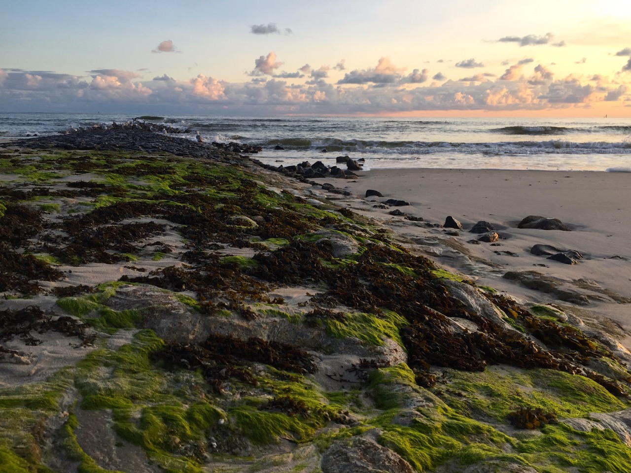 Wangerooge Urlaub – Natur, Wellness, Aktiv