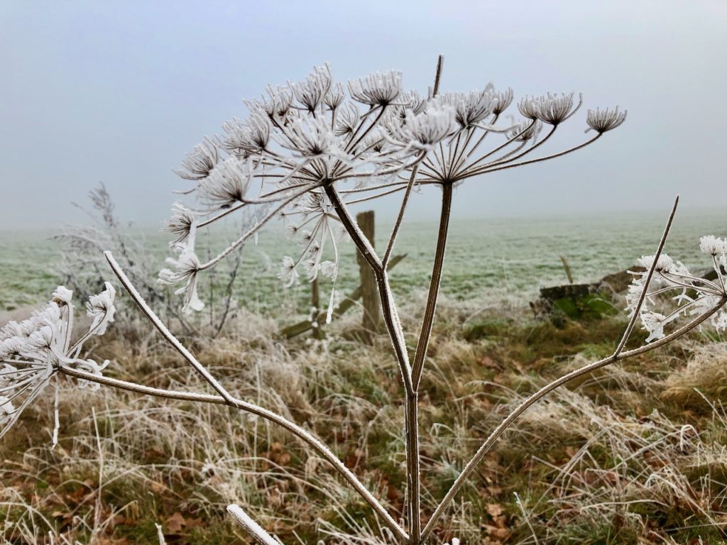 Winterwanderung Nordpfade Kuhmuehlen