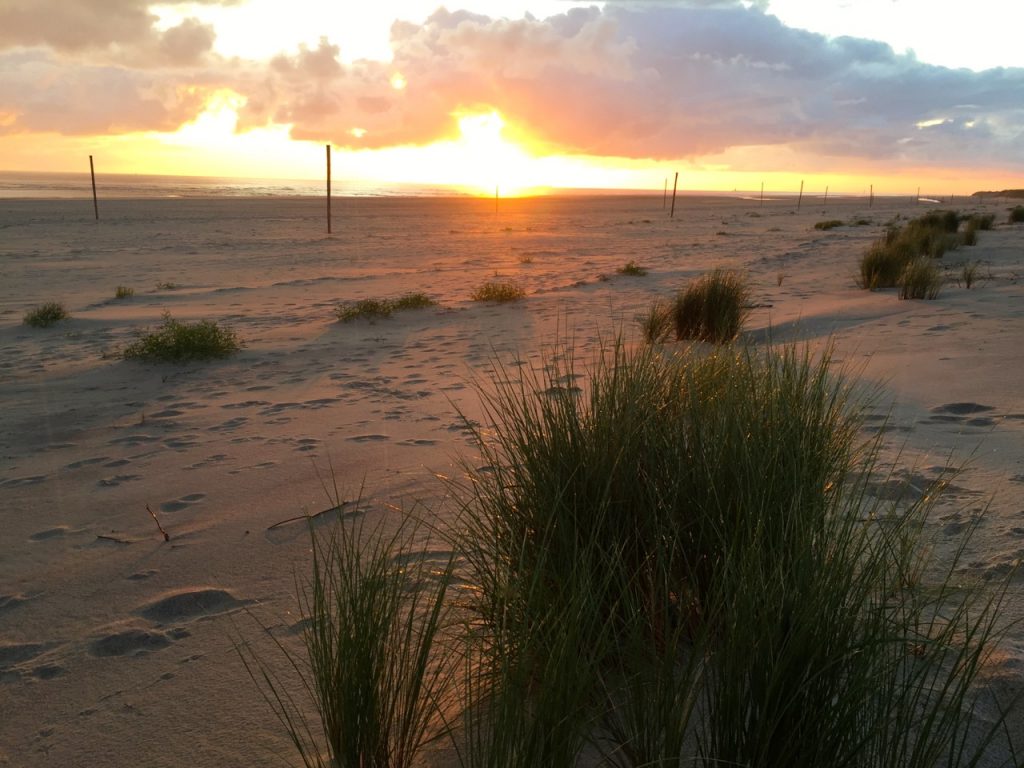 Wangerooge Bilder - Sonnenaufgang am Ostende