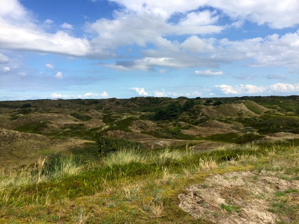 Spiekeroog Dünenlandschaft