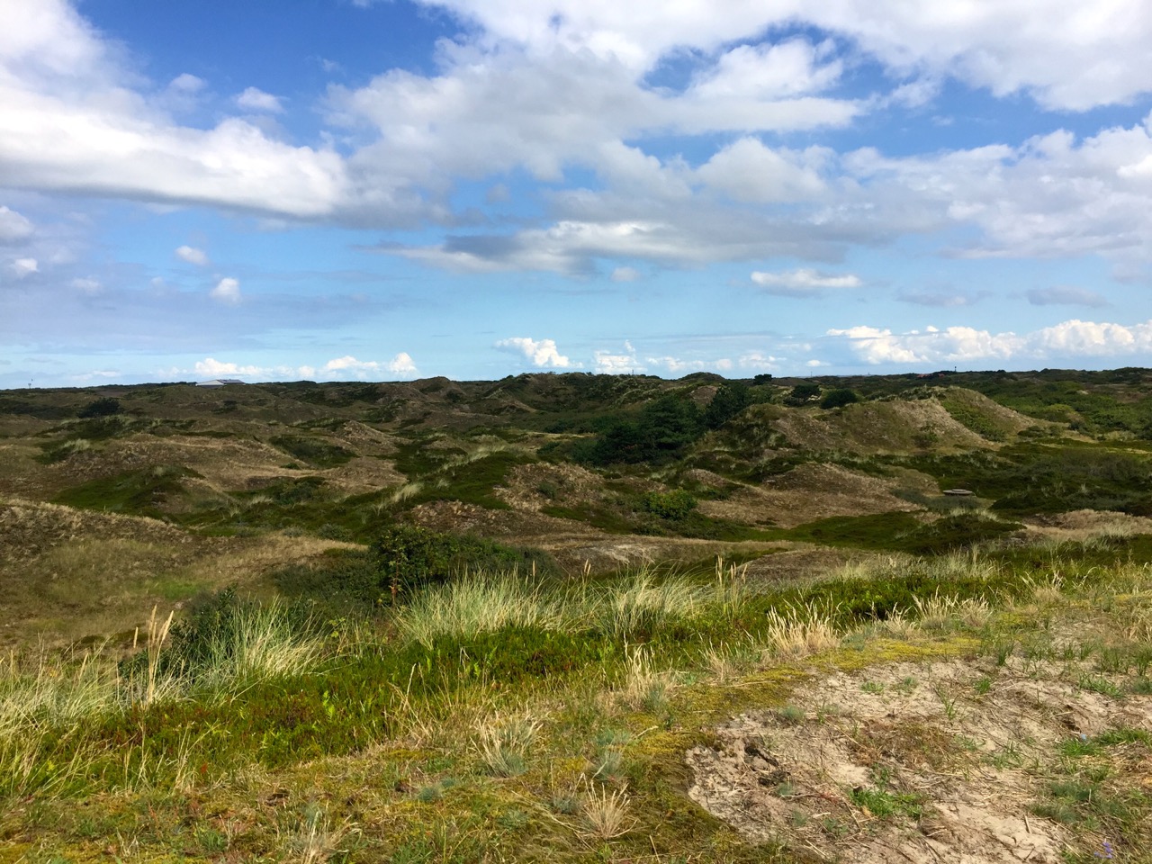 Spiekeroog Duenenlandschaft