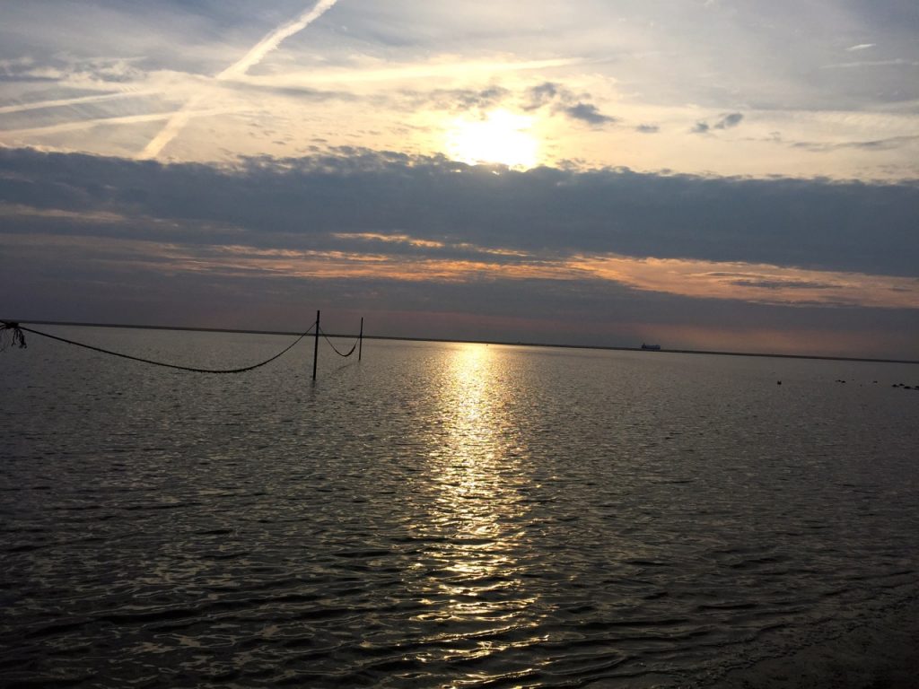 Borkum Reise-Moment Sonnenuntergang mit Seehund