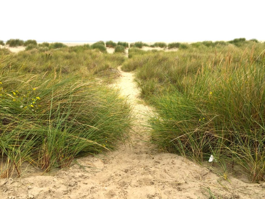 Borkum Reise September 