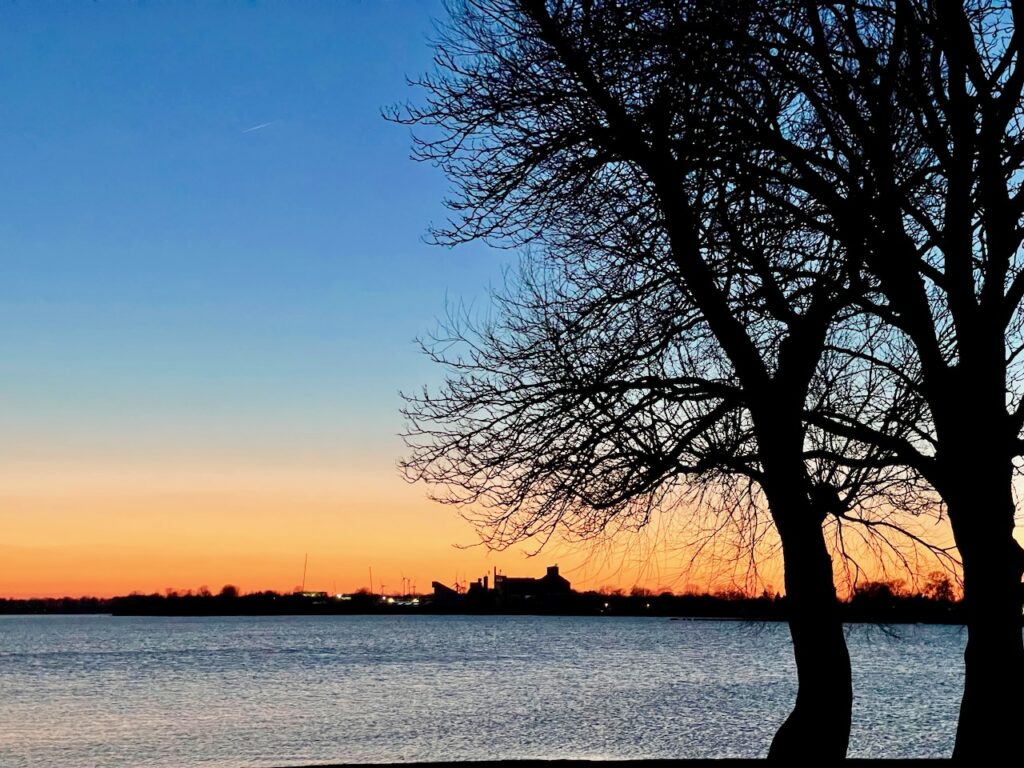 Natur pur in Wilhelmshaven