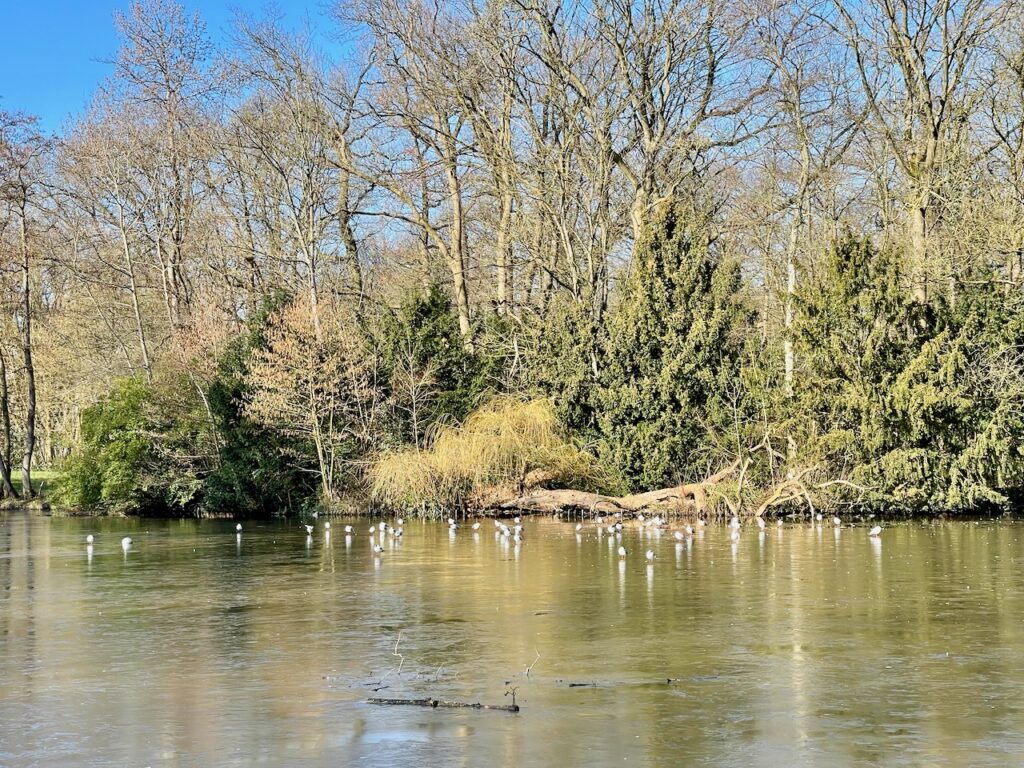 Kurpark Wilhelmshaven