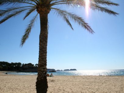 Mallorca als Reiseziel