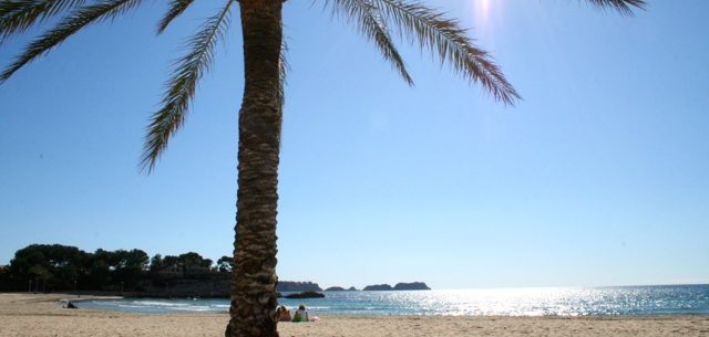 Mallorca als Reiseziel