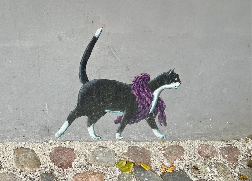 Katzen in Flensburg