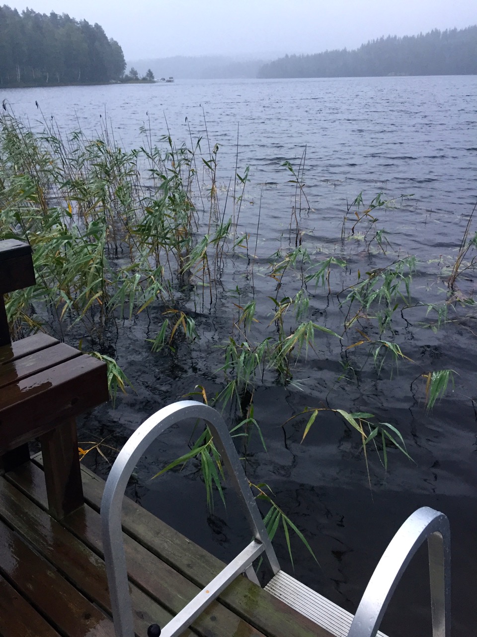 Finnland im September – Nach der Sauna in den See