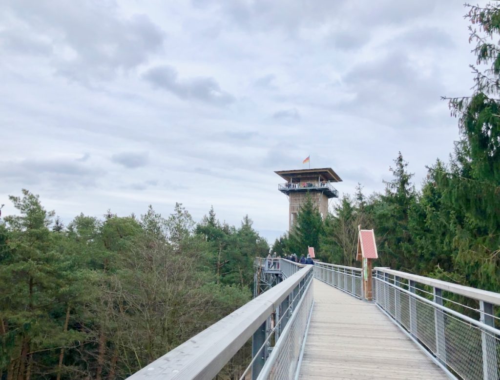 Baumwipfelpfade in Deutschland