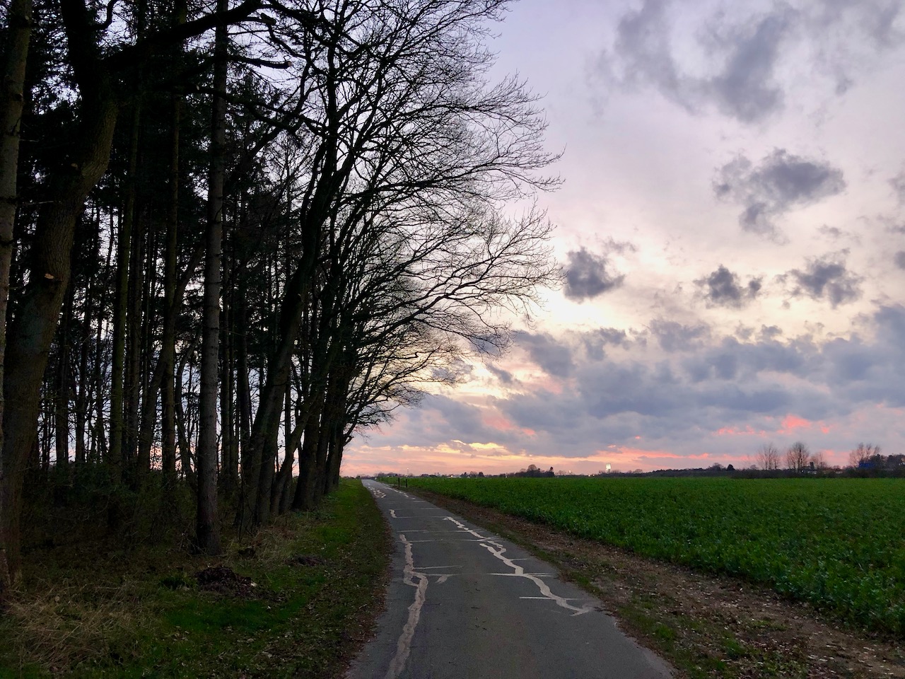 Die Welt steht still: Was die Corona-Krise mit mir macht!