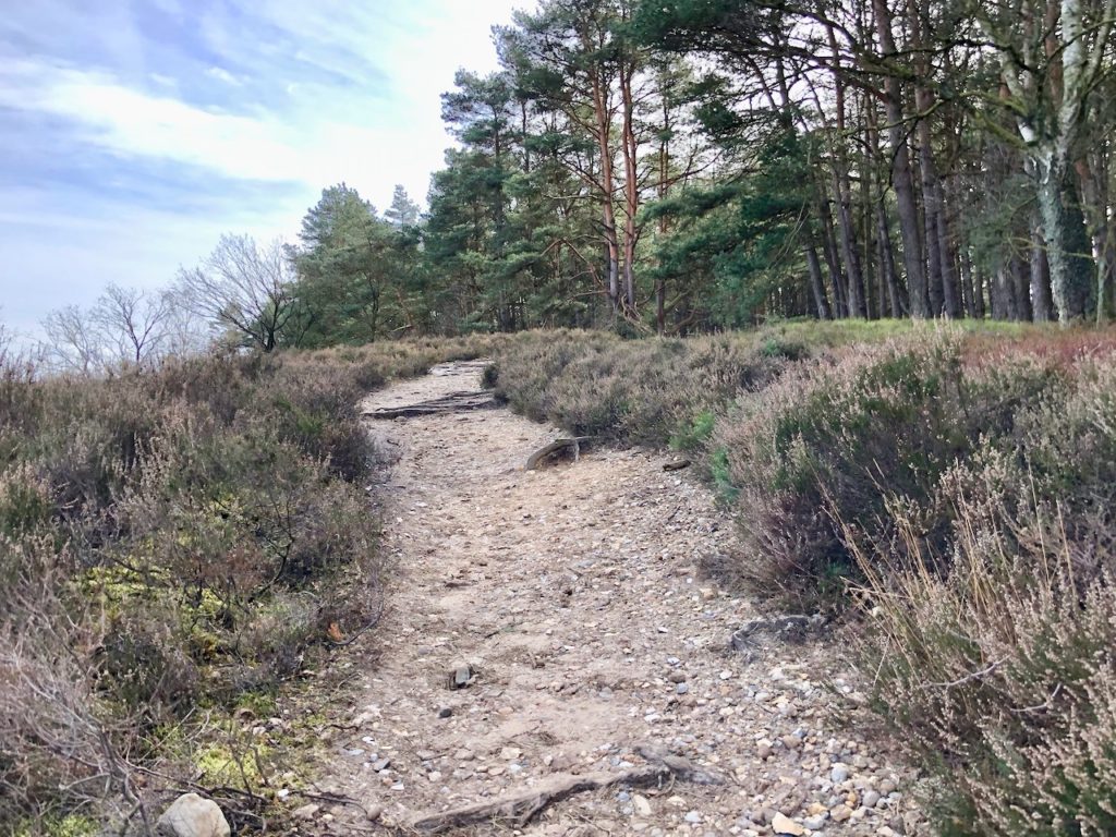 Fischbeker Heide Hamburg