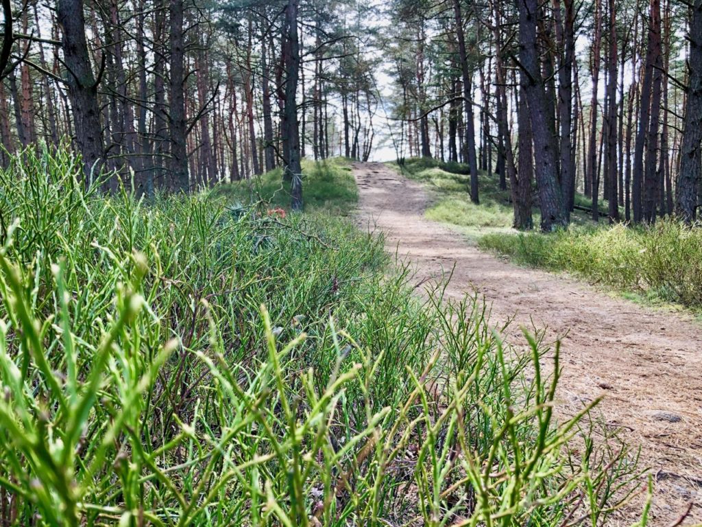 wandern gruener Ring Hamburg