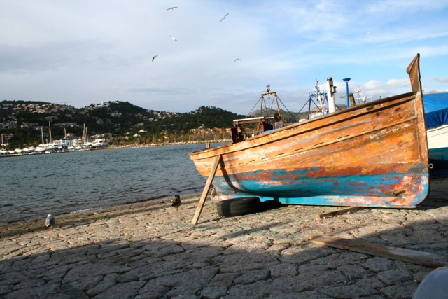 Reiseziele Februar: Mallorca - Wo im Februar schon Frühling ist!