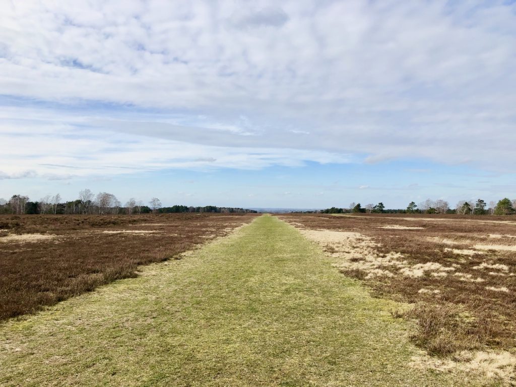 Fischbeker Heide Blick bis nach Stade