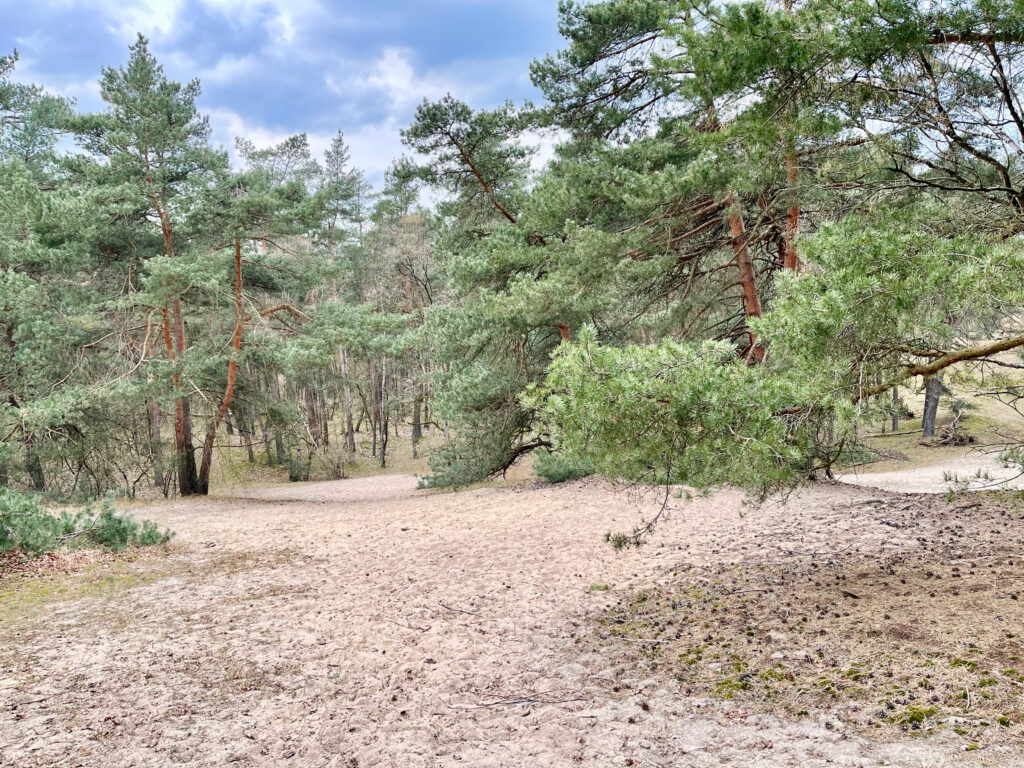 wandern verdener duenen