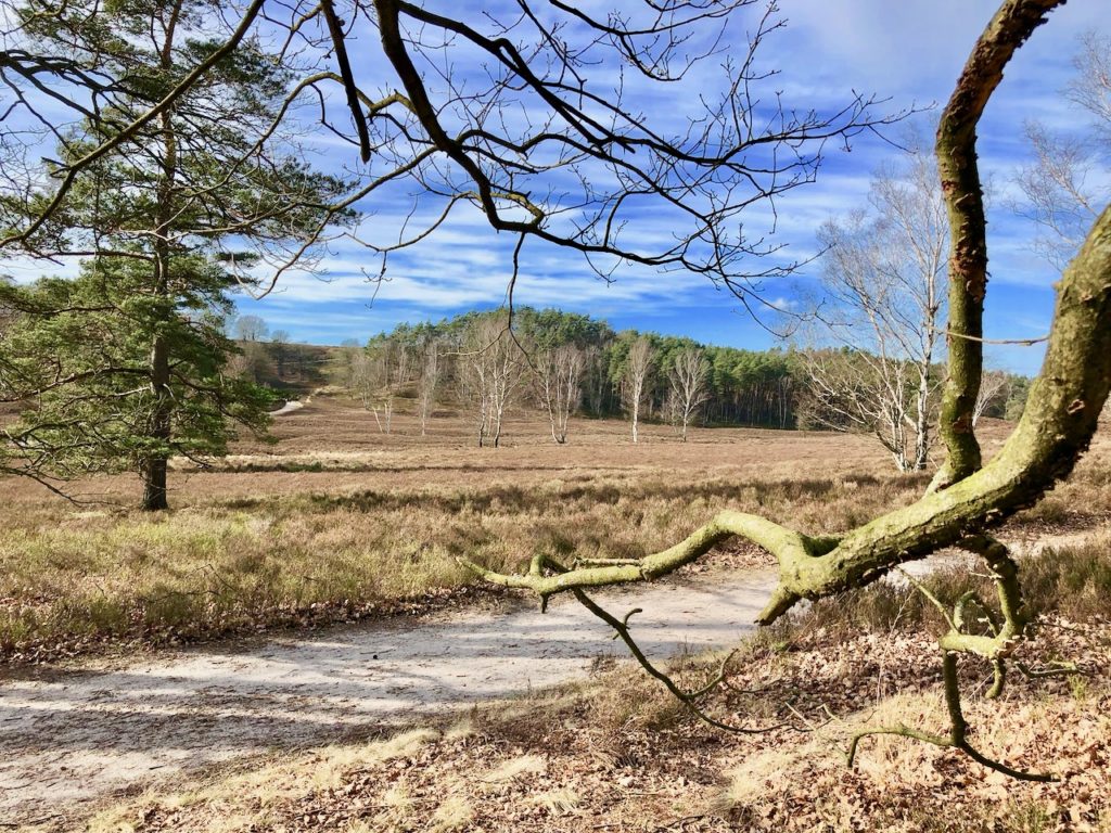 Fischbeker Heide Hamburg Harburg