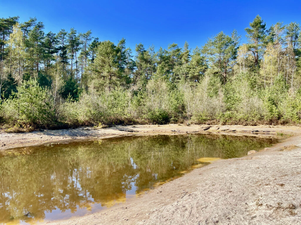 Sandkuhle Nartum Nordpfad