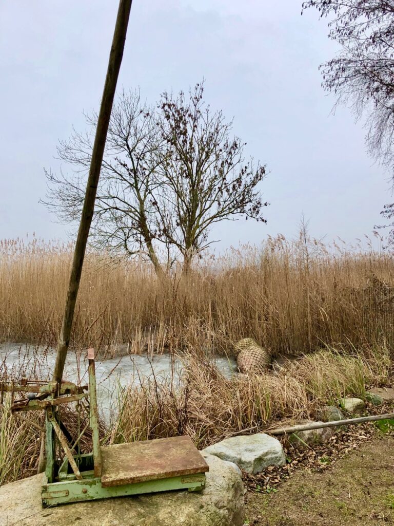 Ausflugsziel Schleswig-Holstein Hemmelsdorfer See