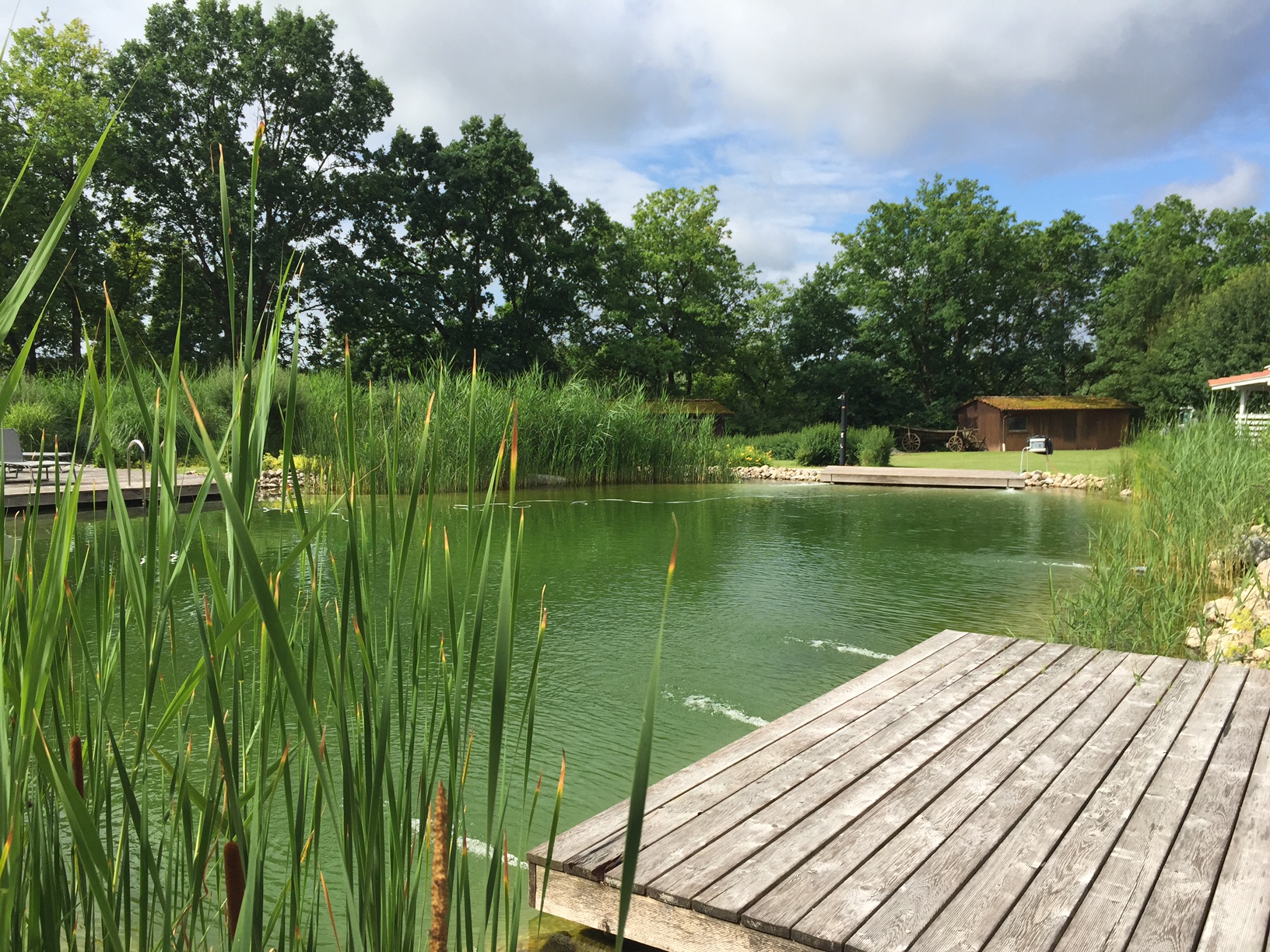 Wellnessfeeling – Badeteich Camping Sonnland