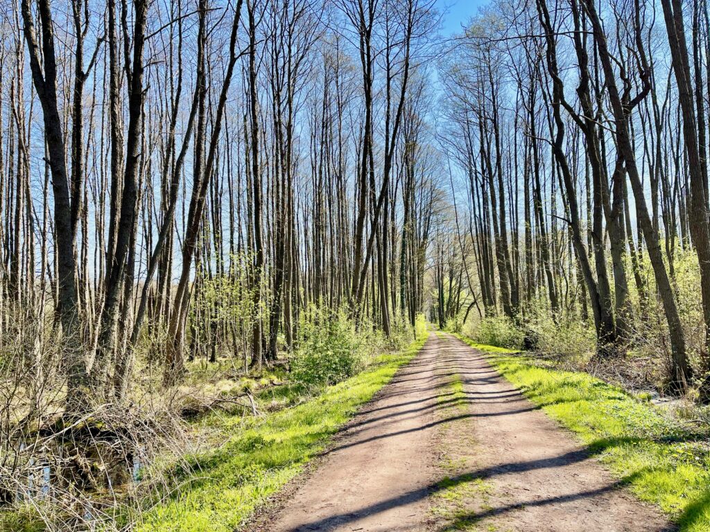 Nordpfad Mulmshorn Ortsweg