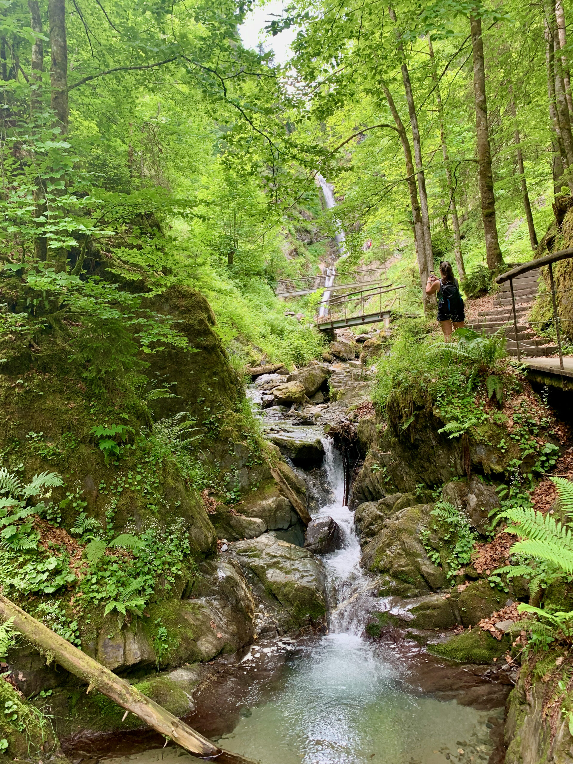 Eifersbacher Wasserfall wandern