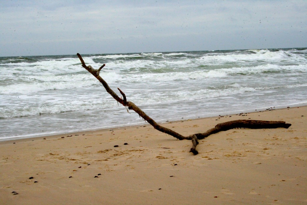 Am Meer in Dänemark