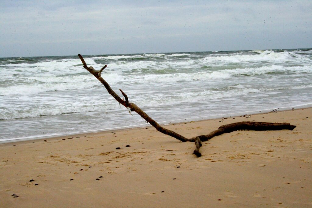 Strand Daenemark