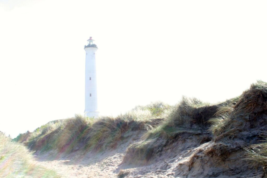 In den Duenen von Hvide Sande in Daenemark, im Hintergrund steht ein weisser Leuchtturm