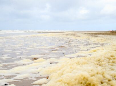 Hvide Sande Strand