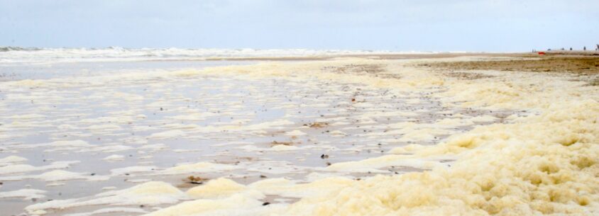 Hvide Sande Strand