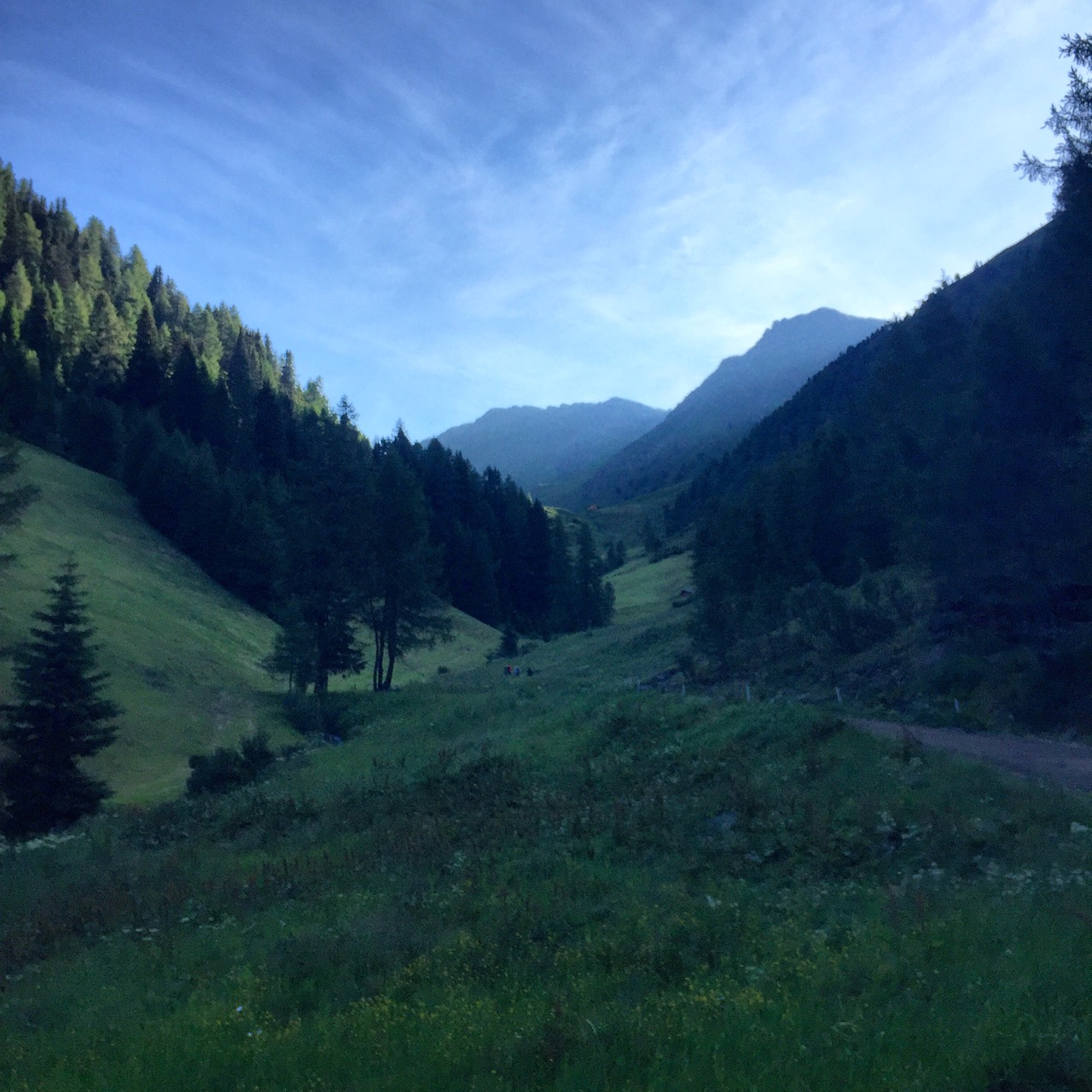 Früh morgens auf dem Weg auf die Alm